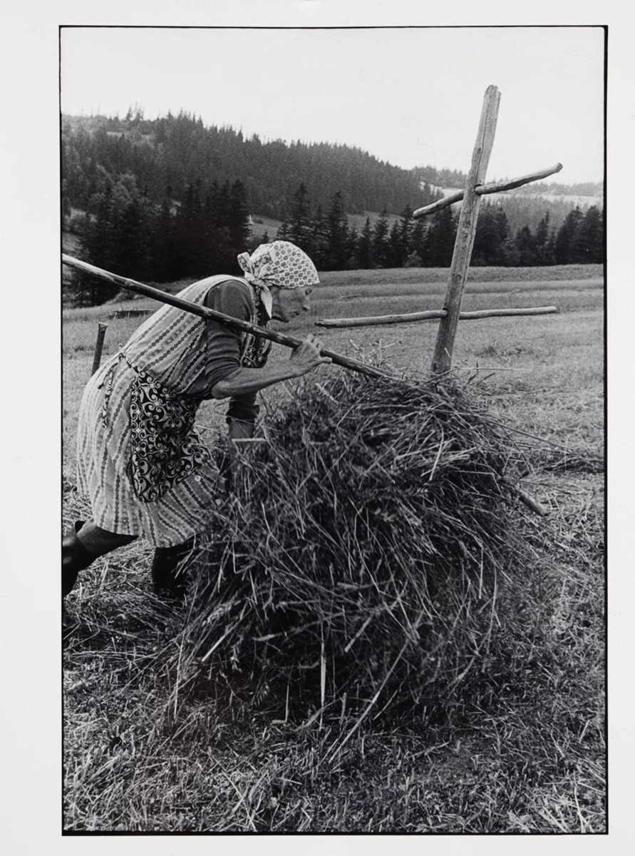 HAY
