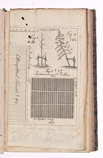A PAIR OF SPECIALIST PUBLICATIONS ON GARDENING AND FORESTRY