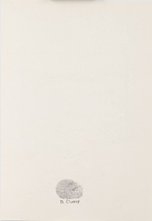 RECORDS OF MIRRORING