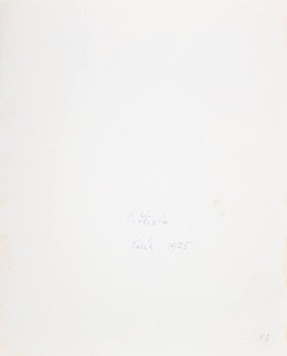 SET OF 29 PHOTOGRAPHS