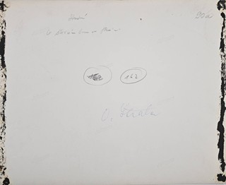 SET OF 29 PHOTOGRAPHS
