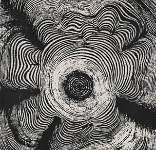 EXPERIMENTAL PHOTOGRAPH
