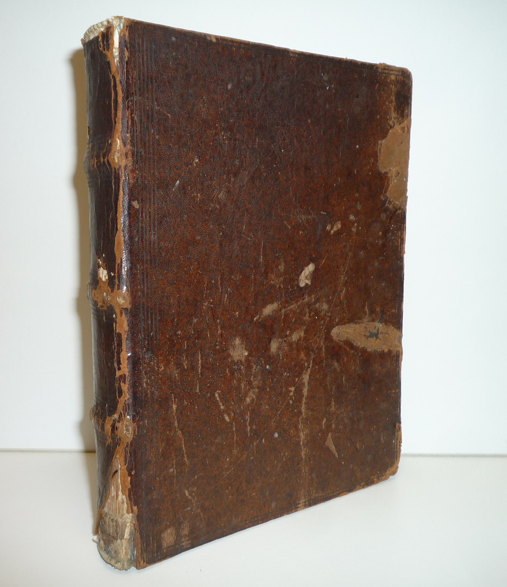Růže Duchovní Líbeznosti - 1696