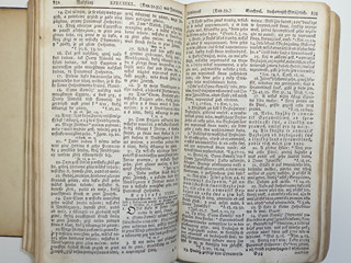 Bible Berlínská II. - 1813