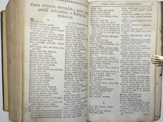 Bible Berlínská II. - 1813