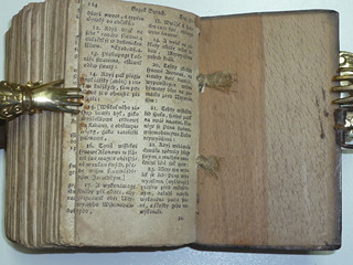 Nový Zákon - Praha - 1787