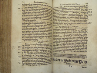 Jak Kostelní tak Domácí Postila - Šebestián Scypio - 1667