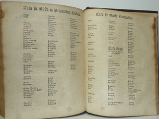 Kronika Česká 1541 - faksimile Jan Ferdinand z Schönfeldu - 1819