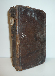 Líbezně květoucí Rajská Růže - Litomyšl - 1790