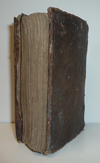 Líbezně květoucí Rajská Růže - Litomyšl - 1790