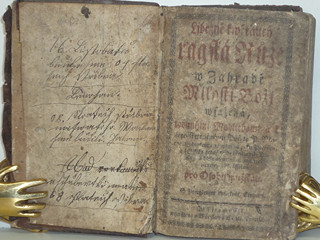 Líbezně květoucí Rajská Růže - Litomyšl - 1790