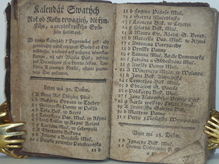 Líbezně květoucí Rajská Růže - Litomyšl - 1790