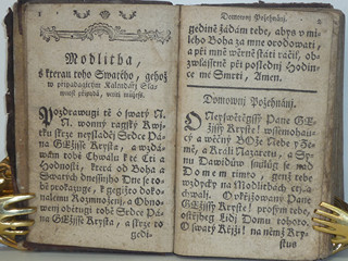 Líbezně květoucí Rajská Růže - Litomyšl - 1790