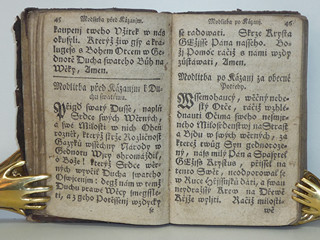 Líbezně květoucí Rajská Růže - Litomyšl - 1790