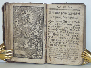 Líbezně květoucí Rajská Růže - Litomyšl - 1790