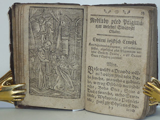 Líbezně květoucí Rajská Růže - Litomyšl - 1790