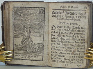 Líbezně květoucí Rajská Růže - Litomyšl - 1790