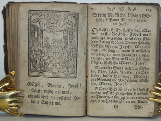 Líbezně květoucí Rajská Růže - Litomyšl - 1790