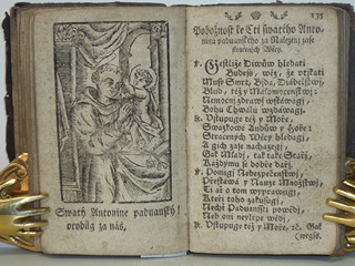 Líbezně květoucí Rajská Růže - Litomyšl - 1790