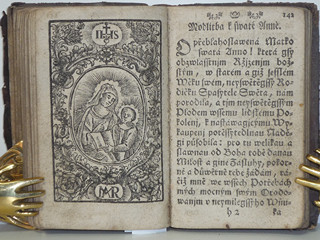 Líbezně květoucí Rajská Růže - Litomyšl - 1790