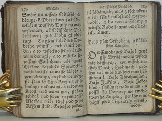 Líbezně květoucí Rajská Růže - Litomyšl - 1790