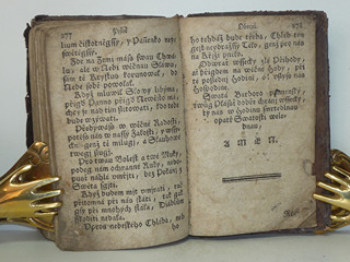 Líbezně květoucí Rajská Růže - Litomyšl - 1790