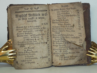 Líbezně květoucí Rajská Růže - Litomyšl - 1790