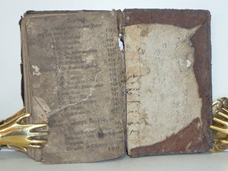 Líbezně květoucí Rajská Růže - Litomyšl - 1790
