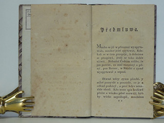 O zimě - 1801