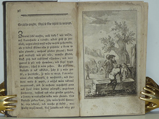 Nešťastné příhody k výstraze nezkušené mládeži - František Jan Tomsa - 1794