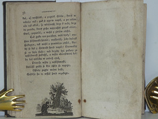 Nešťastné příhody k výstraze nezkušené mládeži - František Jan Tomsa - 1794