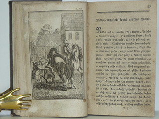 Nešťastné příhody k výstraze nezkušené mládeži - František Jan Tomsa - 1794