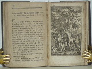 Nešťastné příhody k výstraze nezkušené mládeži - František Jan Tomsa - 1794