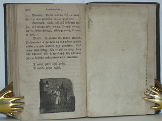 Nešťastné příhody k výstraze nezkušené mládeži - František Jan Tomsa - 1794