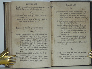 Nešťastné příhody k výstraze nezkušené mládeži - František Jan Tomsa - 1794