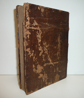 Růže Duchovní Líbeznosti - 1696