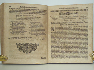 Růže Duchovní Líbeznosti - 1696