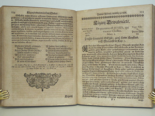 Růže Duchovní Líbeznosti - 1696