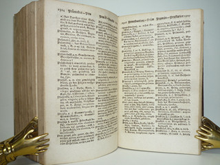 Böhmisch-deutsch-lateinisches Wörterbuch Band I. + II. - Jiří Palkovič - 1820, 1821