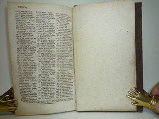 Böhmisch-deutsch-lateinisches Wörterbuch Band I. + II. - Jiří Palkovič - 1820, 1821