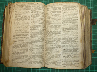 Bible Hallská 3. - 1766