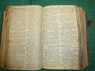 Bible Hallská 3. - 1766