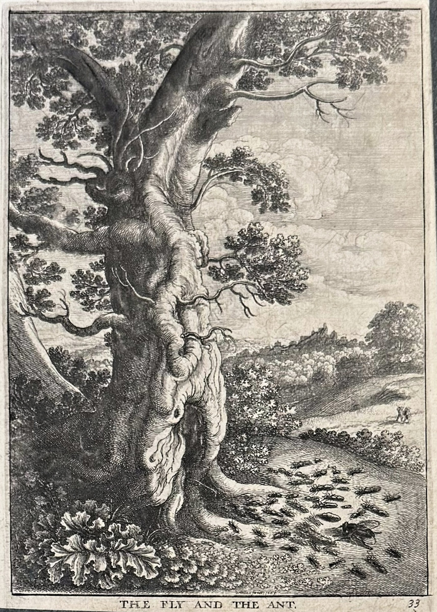 Václav Hollar (1607 - 1677) - O mouše a mravenci