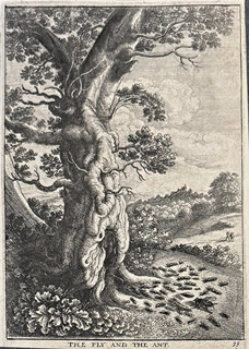 Václav Hollar (1607 - 1677) - O mouše a mravenci