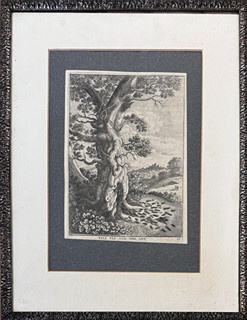 Václav Hollar (1607 - 1677) - O mouše a mravenci