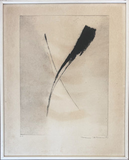 Romana Rotterová (1931) - Cesty světla II.