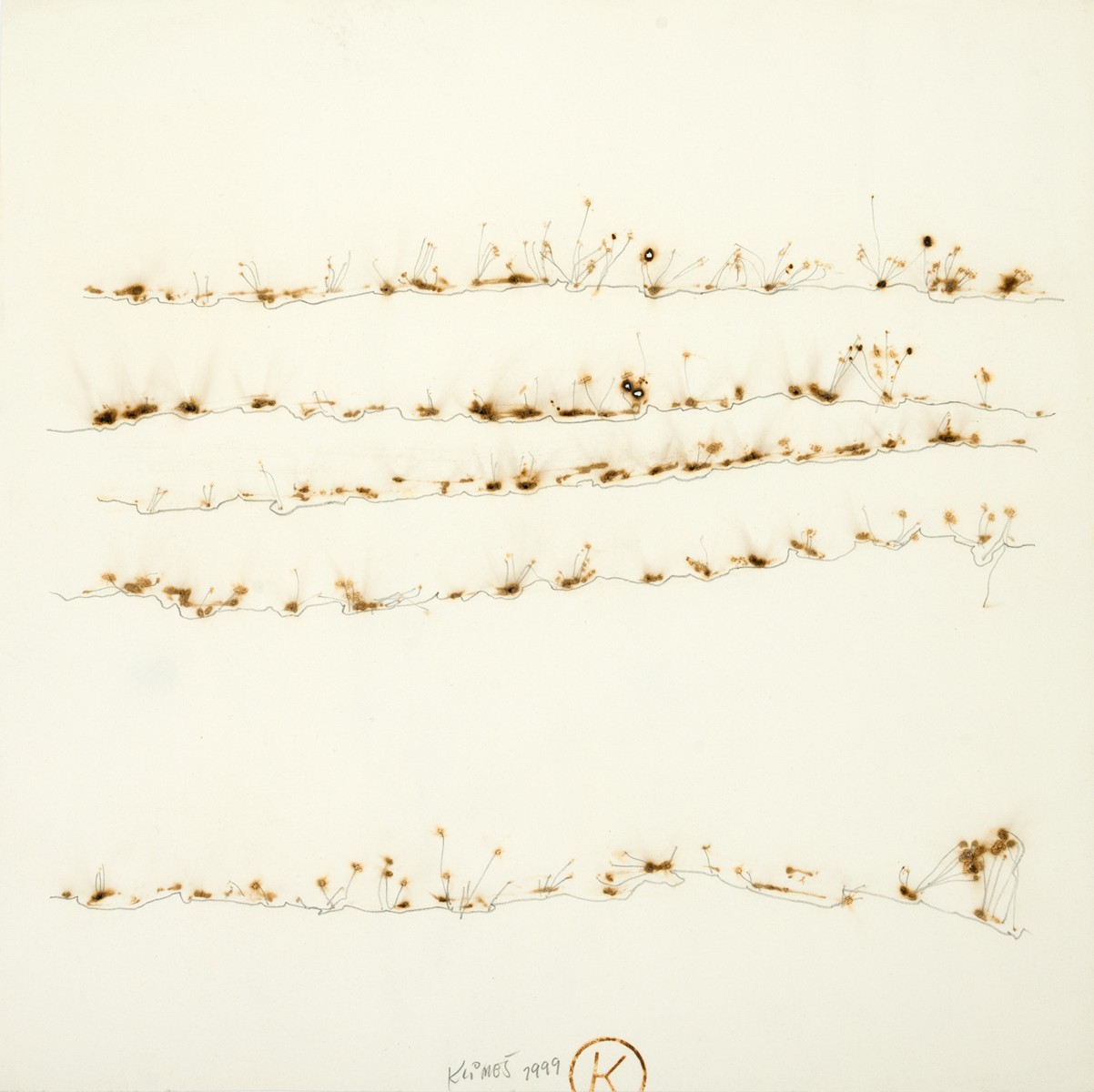 Svatopluk Klimeš (1944) - Trávy