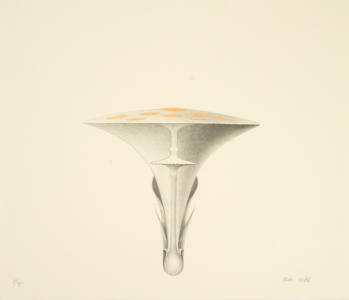 Petr Nikl (1960) - Atlas saltA