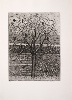 Marie Blabolilová (1948) - Havrani