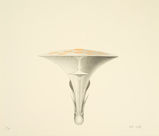 Petr Nikl (1960) - Atlas saltA